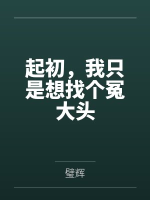 起初，我只是想找个冤大头by璧辉
