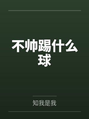 不帅踢什么球