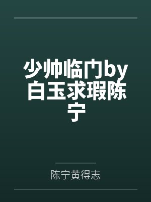 少帅临门一口气看完