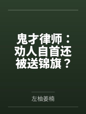 鬼才律师：劝人自首还被送锦旗？