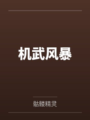 机武风暴 机武风暴
