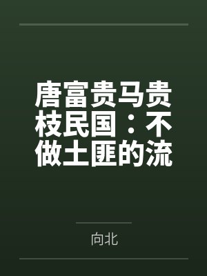 唐富贵马贵枝民国：不做土匪的流氓不是好军阀