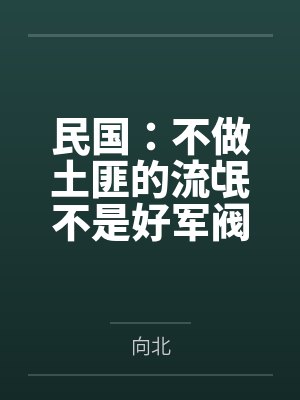 民国：不做土匪的流氓不是好军阀笔趣阁无弹窗