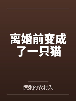 段叶嘉姜可离婚前变成了一只猫