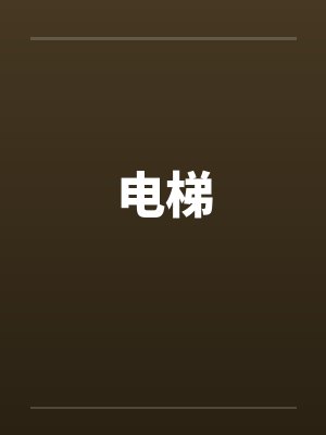 电梯 电梯